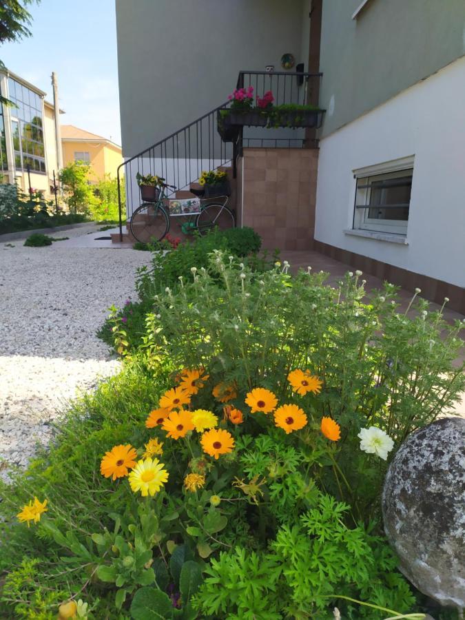 Casa Vacanze I Giardini Di Marzo San Giorgio di Mantova Bagian luar foto
